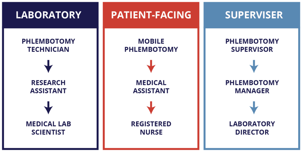Chart describing the different career path levels a phlebotomy student can take. The three levels are Laboratory, Patient Facing, and Supervisor, with 3 career paths each underneath.